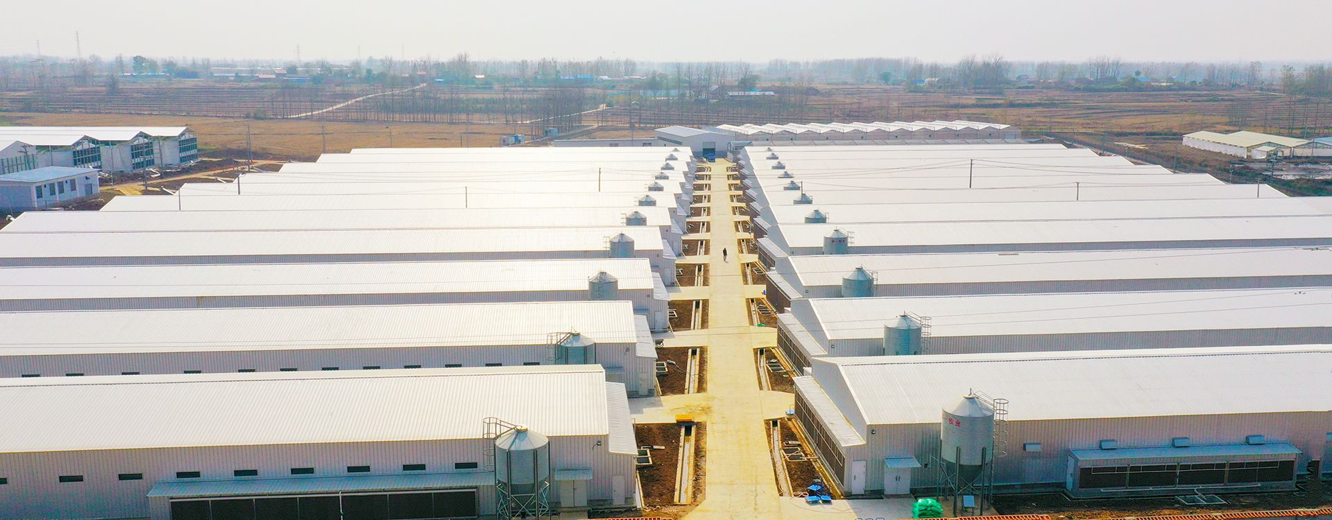 安徽老鄉(xiāng)雞