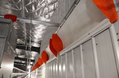 為什么全自動(dòng)化養(yǎng)雞設(shè)備如此盛行？