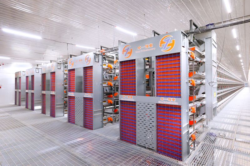 超高層疊養(yǎng)雞技術(shù):養(yǎng)雞產(chǎn)業(yè)新潮流