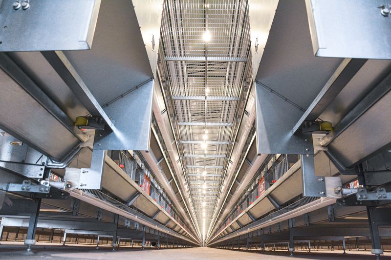 超高層疊養(yǎng)雞設(shè)備:養(yǎng)雞業(yè)的新選擇