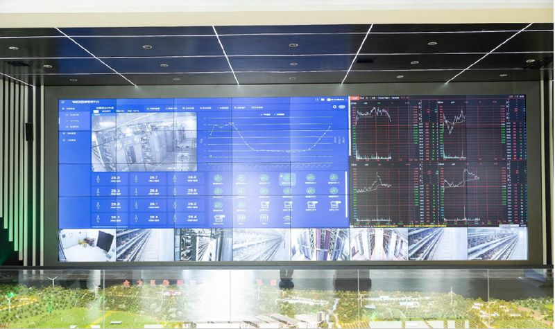 實(shí)力出圈 | 大河報(bào)報(bào)道卓一牧業(yè)鄉(xiāng)村振興實(shí)踐成效！